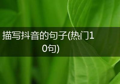 描写抖音的句子(热门10句)