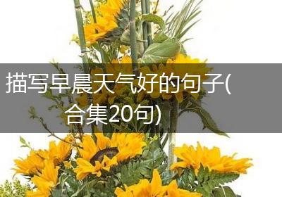 描写早晨天气好的句子(合集20句)