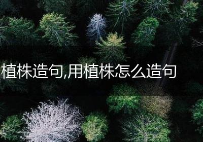植株造句,用植株怎么造句