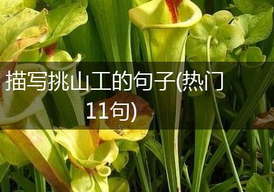 描写挑山工的句子(热门11句)