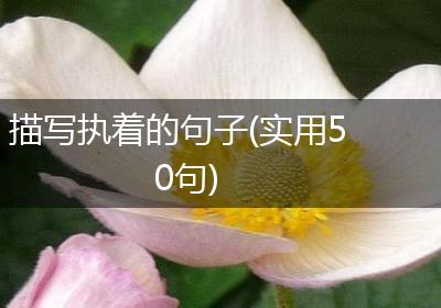 描写执着的句子(实用50句)