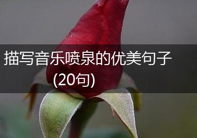 描写音乐喷泉的优美句子(20句)