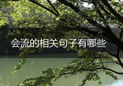 会流的相关句子有哪些