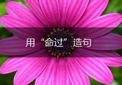 用“命过”造句