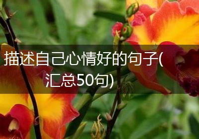 描述自己心情好的句子(汇总50句)