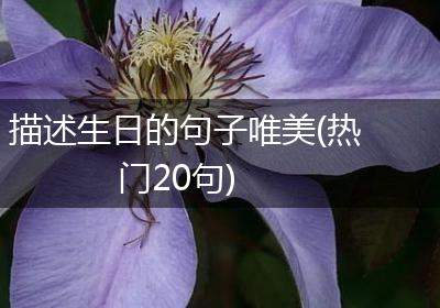 描述生日的句子唯美(热门20句)