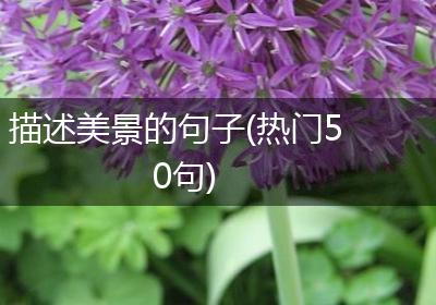 描述美景的句子(热门50句)