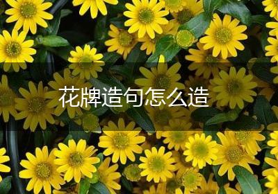 花牌造句怎么造