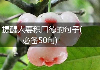 提醒人要积口德的句子(必备50句)
