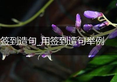 签到造句_用签到造句举例