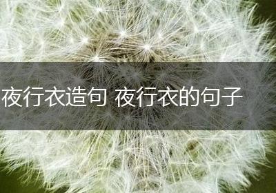 夜行衣造句 夜行衣的句子