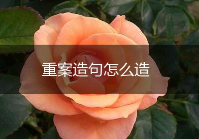 重案造句怎么造