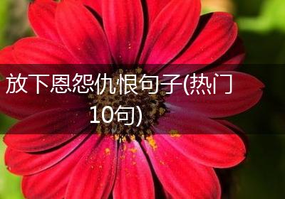 放下恩怨仇恨句子(热门10句)