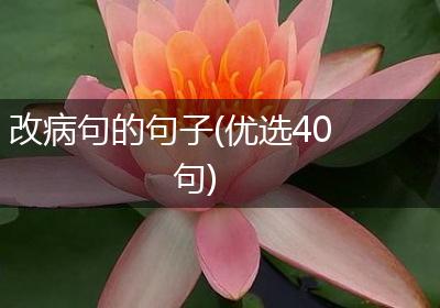 改病句的句子(优选40句)