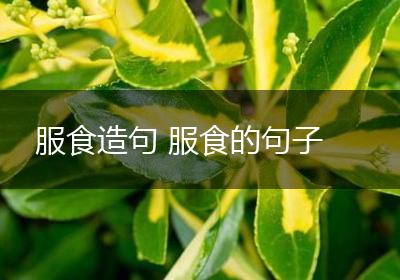 服食造句 服食的句子