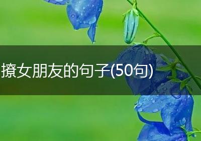 撩女朋友的句子(50句)