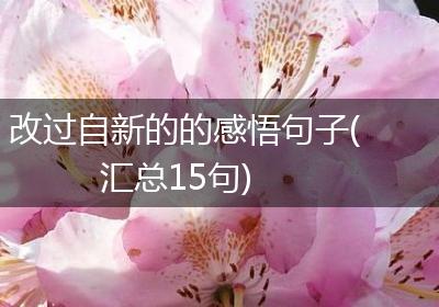 改过自新的的感悟句子(汇总15句)