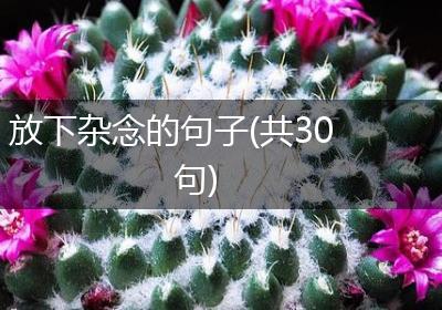放下杂念的句子(共30句)