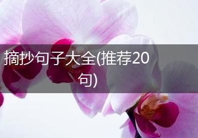 摘抄句子大全(推荐20句)