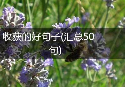 收获的好句子(汇总50句)