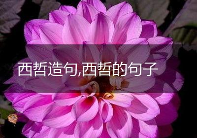 西哲造句,西哲的句子