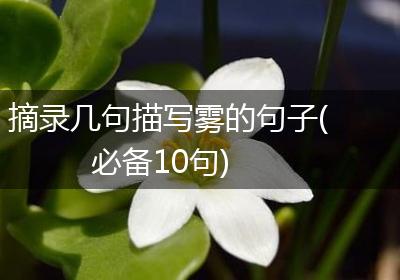 摘录几句描写雾的句子(必备10句)