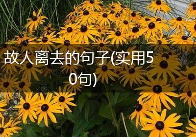 故人离去的句子(实用50句)