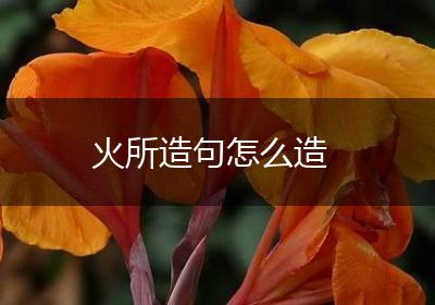 火所造句怎么造