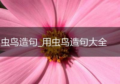 虫鸟造句_用虫鸟造句大全
