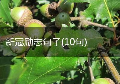 新冠励志句子(10句)