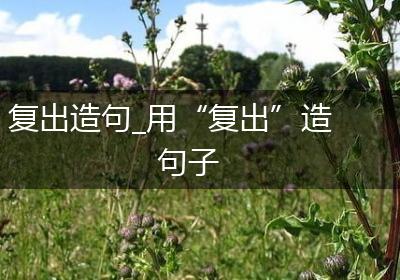 复出造句_用“复出”造句子