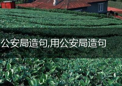 公安局造句,用公安局造句