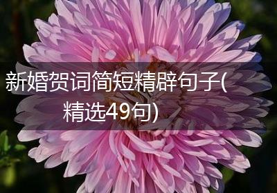 新婚贺词简短精辟句子(精选49句)