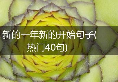 新的一年新的开始句子(热门40句)