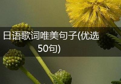 日语歌词唯美句子(优选50句)