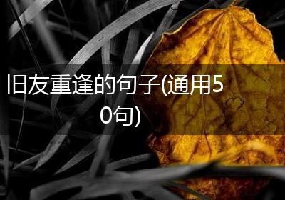 旧友重逢的句子(通用50句)