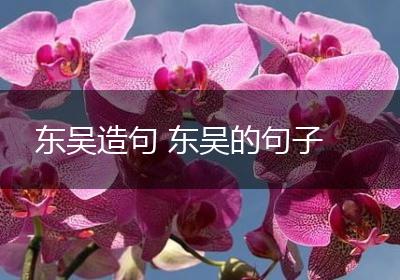 东吴造句 东吴的句子