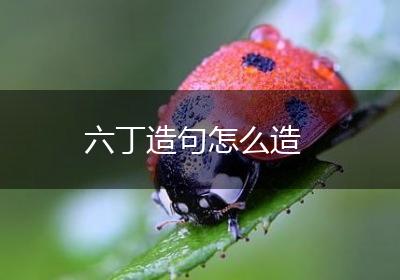 六丁造句怎么造