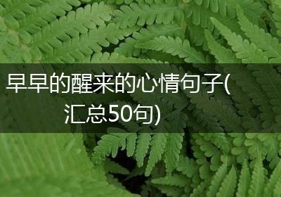 早早的醒来的心情句子(汇总50句)
