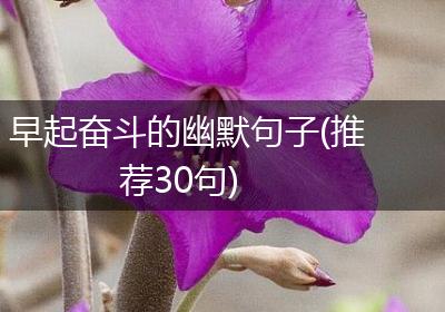 早起奋斗的幽默句子(推荐30句)
