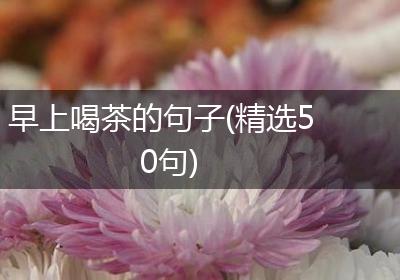 早上喝茶的句子(精选50句)
