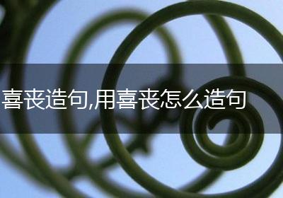 喜丧造句,用喜丧怎么造句