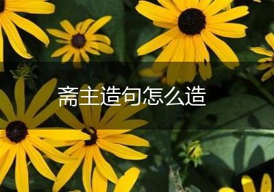 斋主造句怎么造