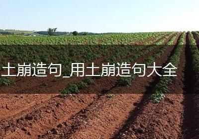 土崩造句_用土崩造句大全
