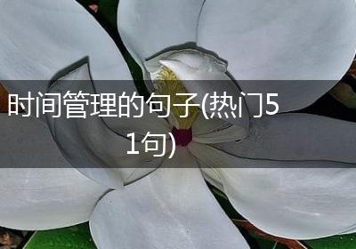 时间管理的句子(热门51句)