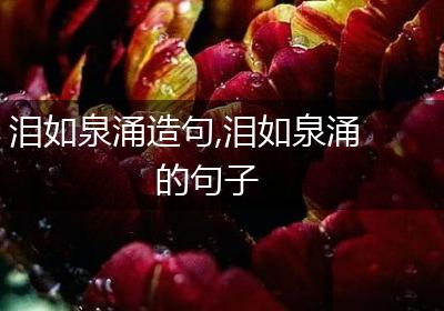泪如泉涌造句,泪如泉涌的句子