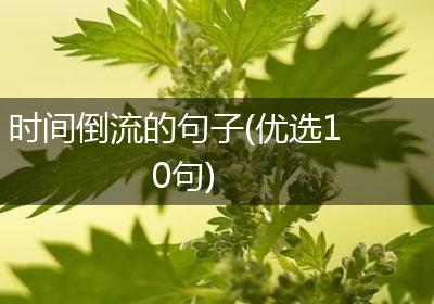 时间倒流的句子(优选10句)
