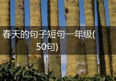 春天的句子短句一年级(50句)