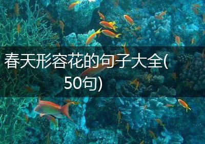 春天形容花的句子大全(50句)