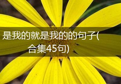 是我的就是我的的句子(合集45句)